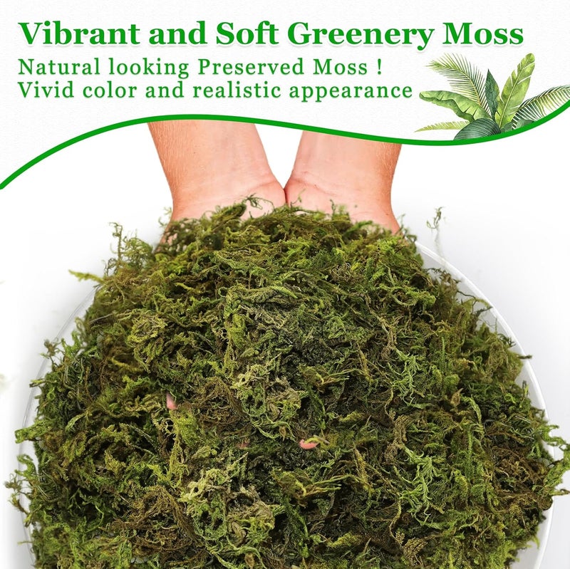 Riare 7OZ Artificial Fake Moss for Fake Plants Indoor- Premium Faux Craft Moss for Potted Plant, Fresh Forest Green for Hamsters Micro-Landscape Terrariums Centerpieces Decor - Image 4