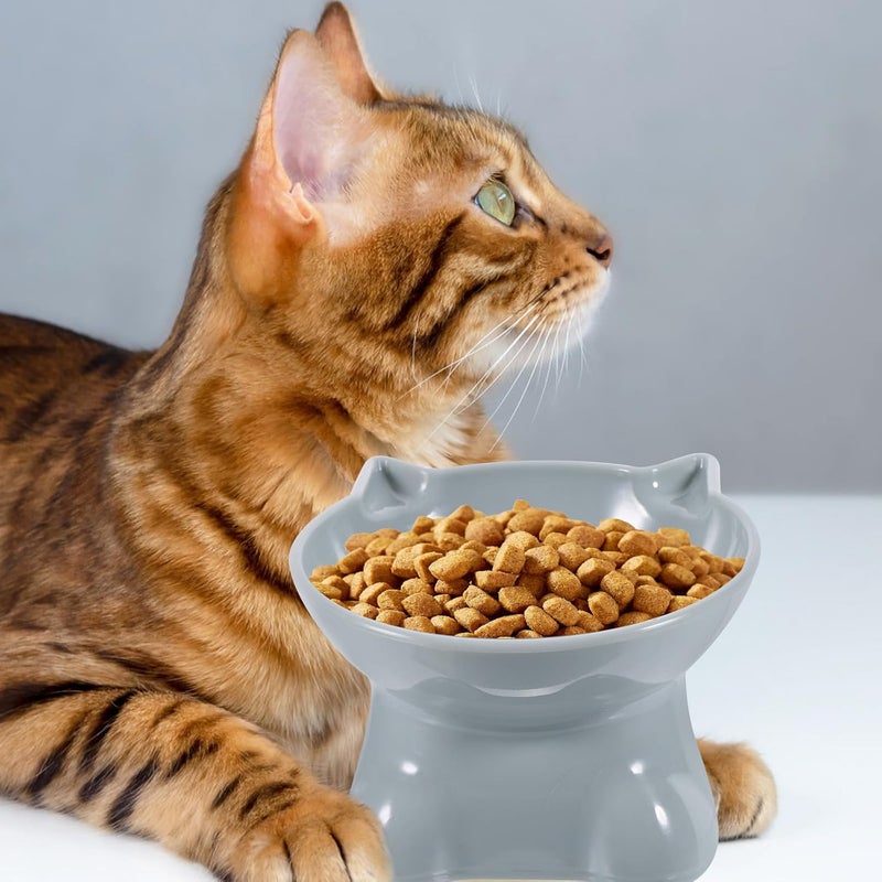 2pcs Elevated Pet Bowls with Neck Protection, Plastic Raised Cat Feeding Bowls Anti-Spill Design for Indoor Cats and Small Dogs, Blue Gray and Green - Image 4