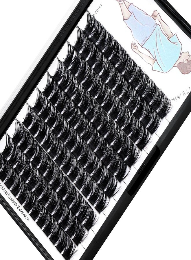 Dedila Large Tray-Grafted Wide Stem Individual False Eyelashes Thick Base 120 Clusters D Curl Natural Long Volume Eye Lashes Extensions Dramatic Look 8-20mm Available (18mm) - Image 2