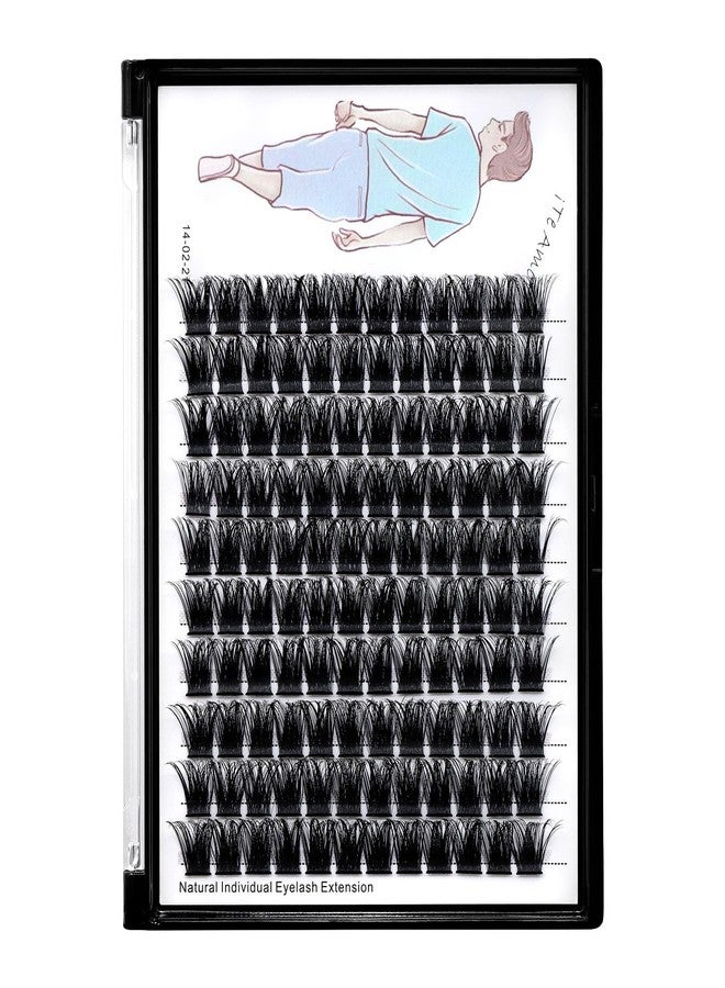 Dedila Large Tray-Grafted Wide Stem Individual False Eyelashes Thick Base 120 Clusters D Curl Natural Long Volume Eye Lashes Extensions Dramatic Look 8-20mm Available (18mm) - Image 5