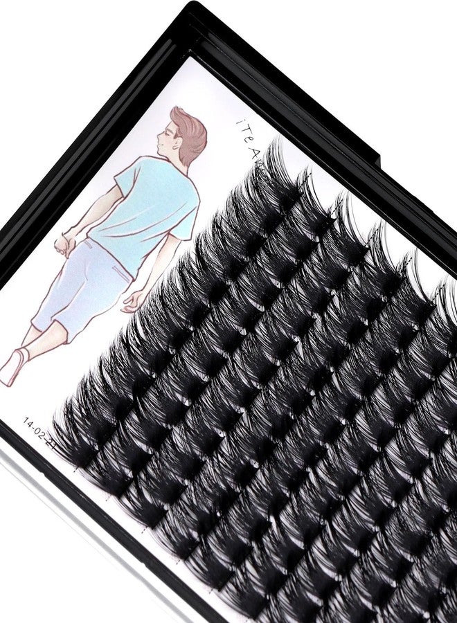 Dedila Large Tray-Grafted Wide Stem Individual False Eyelashes Thick Base 120 Clusters D Curl Natural Long Volume Eye Lashes Extensions Dramatic Look 8-20mm Available (18mm) - Image 3