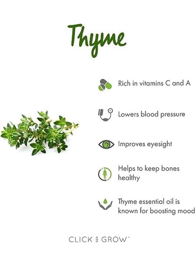 كليك آند جرو بذور زعتر - Image 2