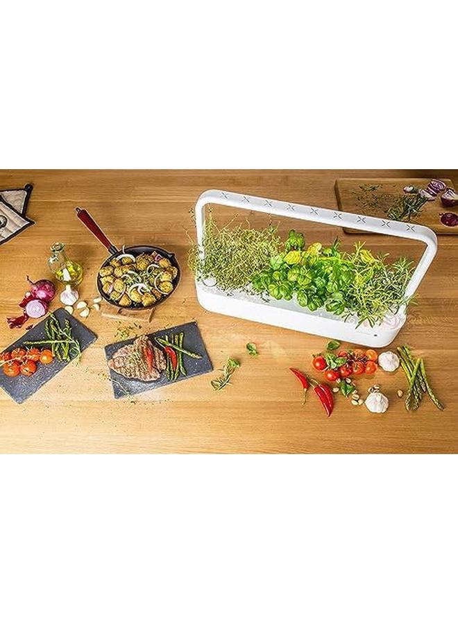 كليك آند جرو بذور زعتر - Image 3