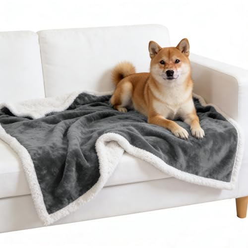 Kritter Planet Dog Blankets for Small Dogs, Soft Puppy Blanket, Pet Blankets for Cats, Lightweight & Washable, Perfect for Dog Beds, Car Seats, Creat, 30x40 inches - Image 1
