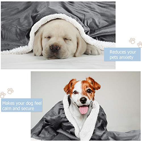 Kritter Planet Dog Blankets for Small Dogs, Soft Puppy Blanket, Pet Blankets for Cats, Lightweight & Washable, Perfect for Dog Beds, Car Seats, Creat, 30x40 inches - Image 3