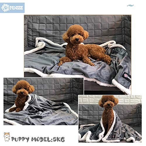 Kritter Planet Dog Blankets for Small Dogs, Soft Puppy Blanket, Pet Blankets for Cats, Lightweight & Washable, Perfect for Dog Beds, Car Seats, Creat, 30x40 inches - Image 2