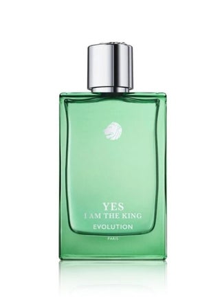 Yes I am The Kink Evolution 100 ml - pzsku/Z3AD410FCB46EBD09C5E2Z/45/_/1724852875/4107aba8-c7d3-44bf-8050-f1ca1f0e9520