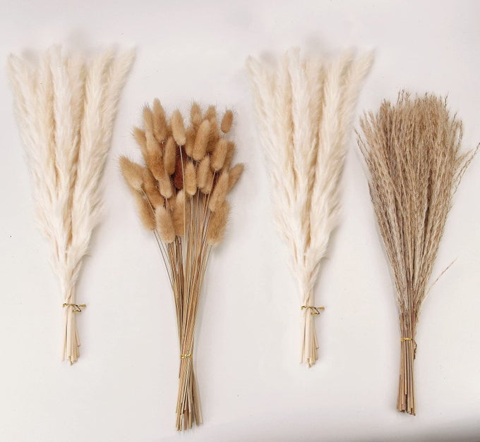 Natural Dried Pampas Grass Decor White Pampas Grass Bunny Tails Dried Flowers Reed Grass Bouquet for Wedding Boho Flowers Home Table Decor Rustic Farmhouse Party 100 in Total