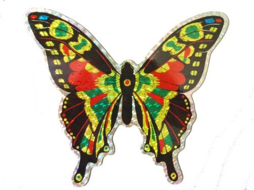 Clark Collection CC52071 Large Multi Colored Butterfly Door Screen Saver - Image 1