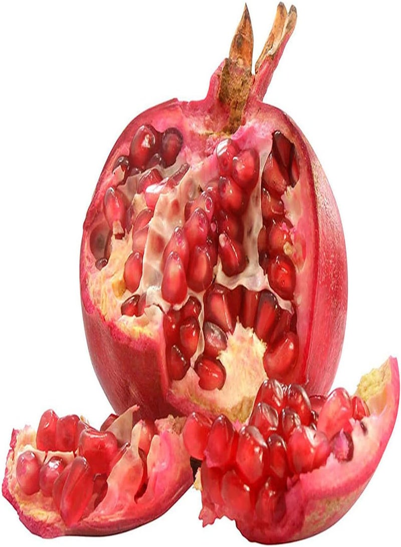 GGOOT 30 Granatapfelkerneroter Kern voller Nährstoffe angenehmes Aussehen beliebt und geliebt von Menschen Terrasse im Garten Hof DIY Pflanzung - Image 1