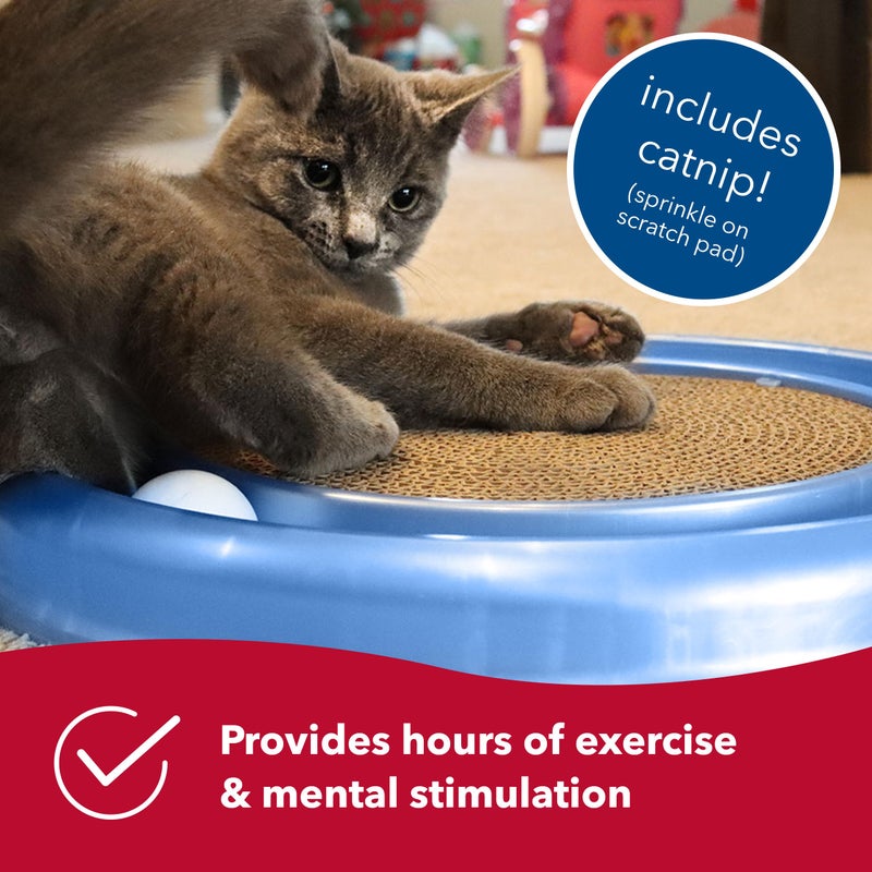 Bergan Coastal Pet Turbo Scratcher Cat Toy - Cardboard Cat Scratcher Pad with Cat Toy Ball Track and Catnip (1 Pack) - Image 3