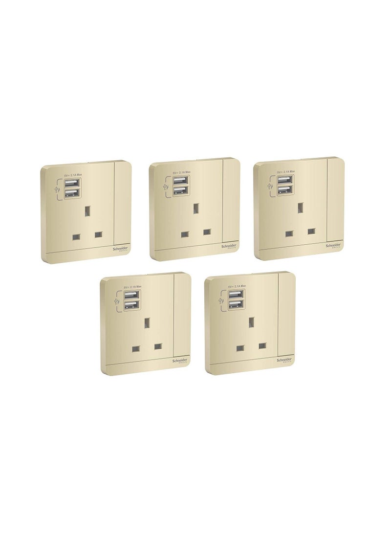 Schneider Electric E8315_WG_G12 AvatarOn ذهب - مقبس مفرد مزود بتبديل - 13 أ - 230 فولت - 1 مجموعة - ذهب - عبوة من 5