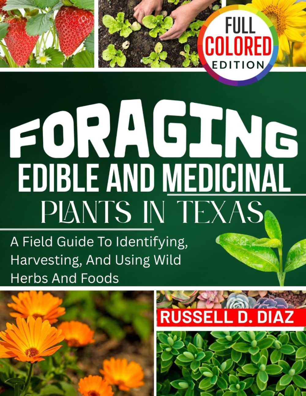 FORAGING EDIBLE AND MEDICINAL PLANTS IN TEXAS (FULL COLORED): A Field ...