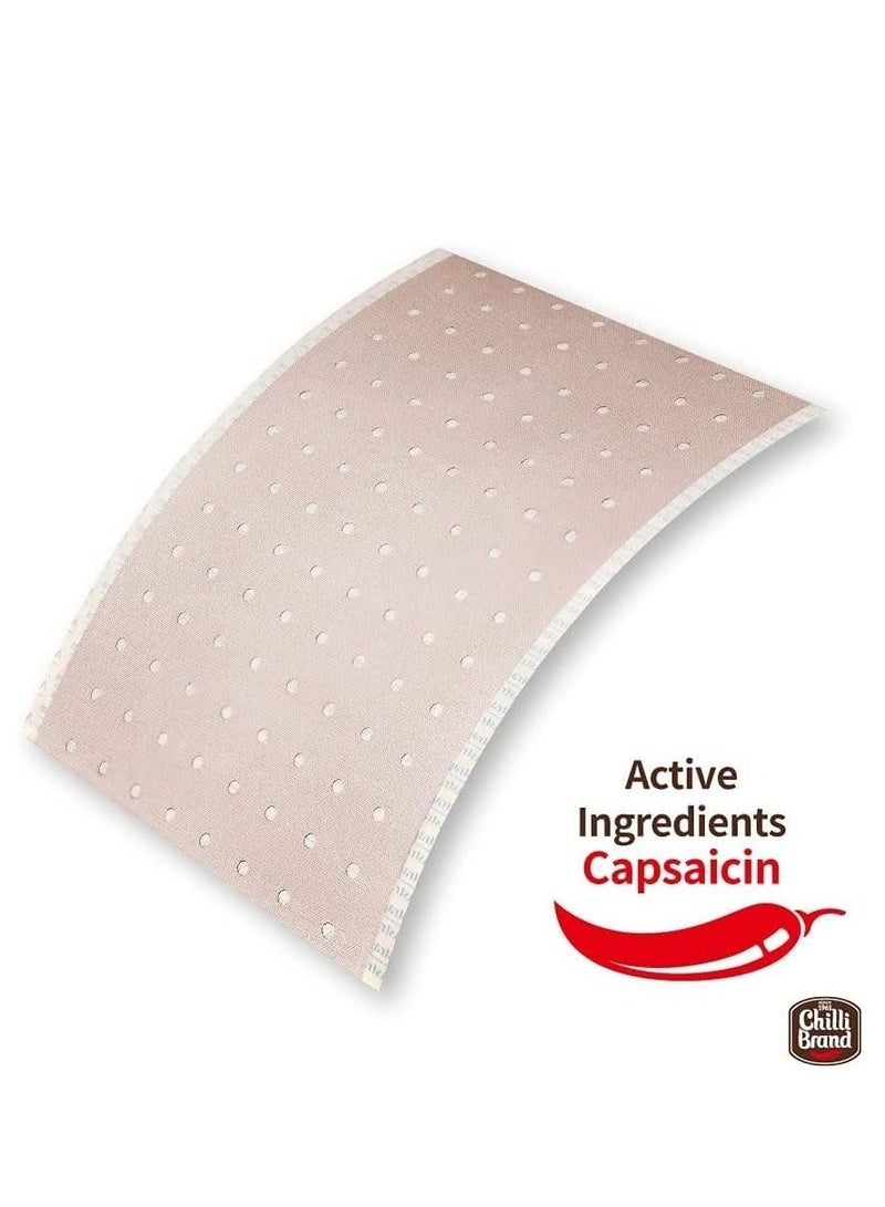 Johnson & Johnson American Porous Adhesive Plaster For Pain Relief Pain Relieving Patch for Back Pain Joint And Muscle - Image 2