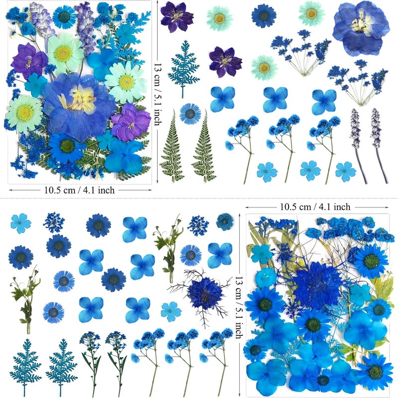 MIKIYA 94Pcs Blue Dried Pressed Flowers for Resin Molds, Assorted Real Natural Bulk Dry Floral Leaves for DIY Art Crafts, Epoxy Jewelry, Candle, Soap Making, Nails Decors Gifts - Image 5