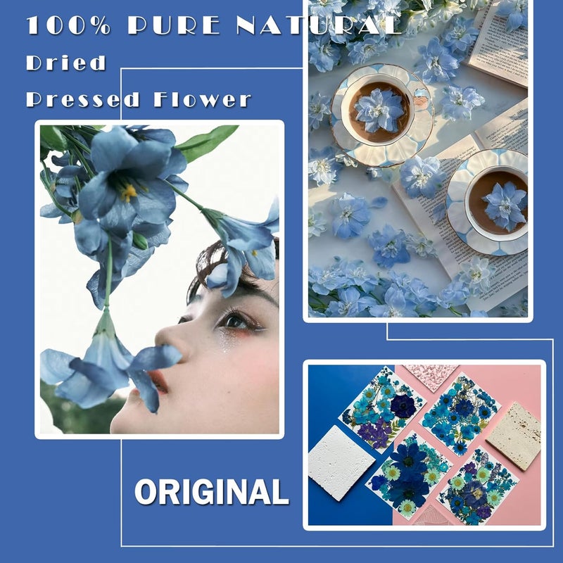MIKIYA 94Pcs Blue Dried Pressed Flowers for Resin Molds, Assorted Real Natural Bulk Dry Floral Leaves for DIY Art Crafts, Epoxy Jewelry, Candle, Soap Making, Nails Decors Gifts - Image 2