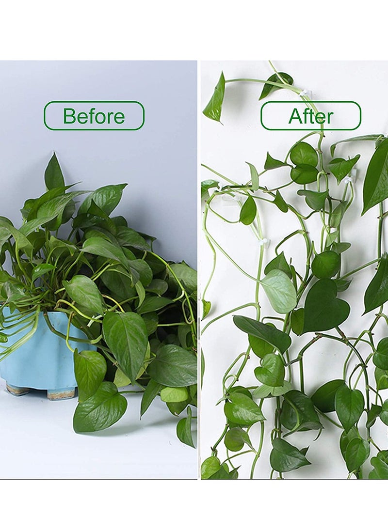120 PCS Plant Vine Climbing Wall Fixture Clips - Green 3 Different Size Plant Support Plant Fixer Self-Adhesive Sticky Hook Plant Vine Traction Vines Fixing Clip Vines Holder (Green)