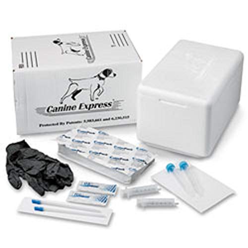 SANPROV Canine Express Disposable Semen Transport - Image 3