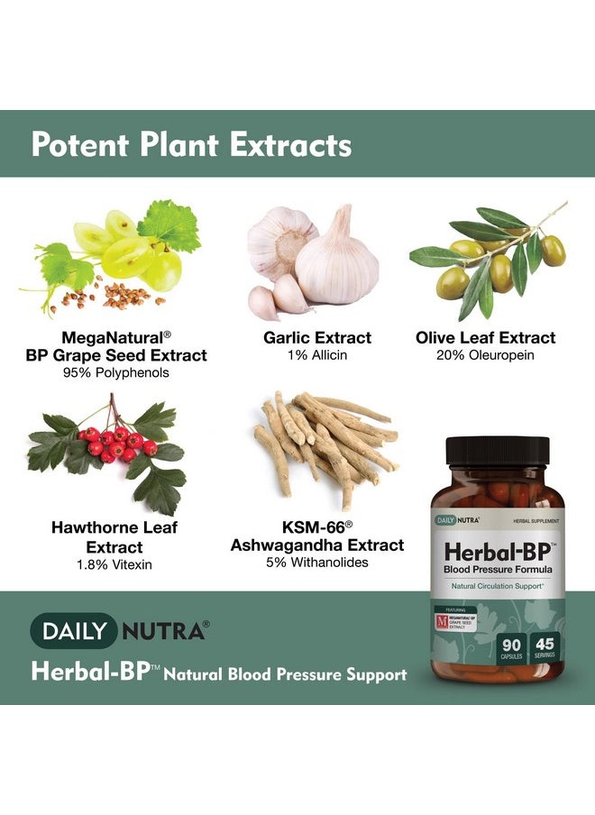 DailyNutra Herbalbp Natural Blood Pressure Supplement Supports Circulatory Health  Stress Management  Standardized Plant Extracts For Safe Longterm Support 90 Capsules  - Image 3