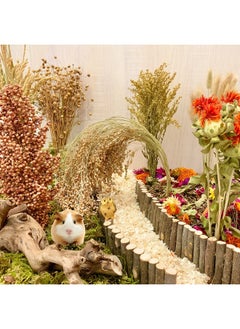 Natural Hamster Bedding Edible Flowers Herbs Sprays Treat Cereal Grain For Cage Habitat Enclosure Decor Hamster Chews For Dwarf Syrian Gerbils Mice Mouse Rat Forage Pet Hamster Accessories Supplies