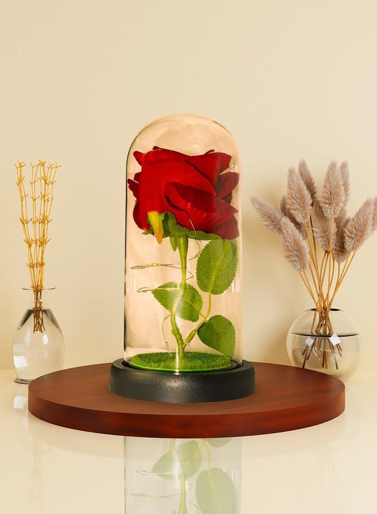 UKR Glass Rose with LED Lights – Elegant Artificial Flower Gift for Women | Perfect for Valentine’s Day, Mother’s Day, Anniversary & Birthday - Image 4