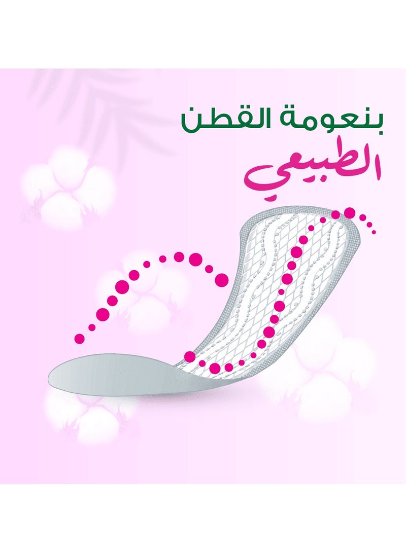 فريش دايز فوطة اليومية عادي معطر 24 قِطَع - Image 5