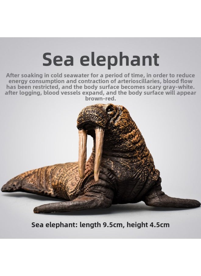 Simulation Marine Animal Biological Model Octopus Penguin Dolphin Diver Turtle Shark Scene Full Series-Color:S259 Large Humpback Whale