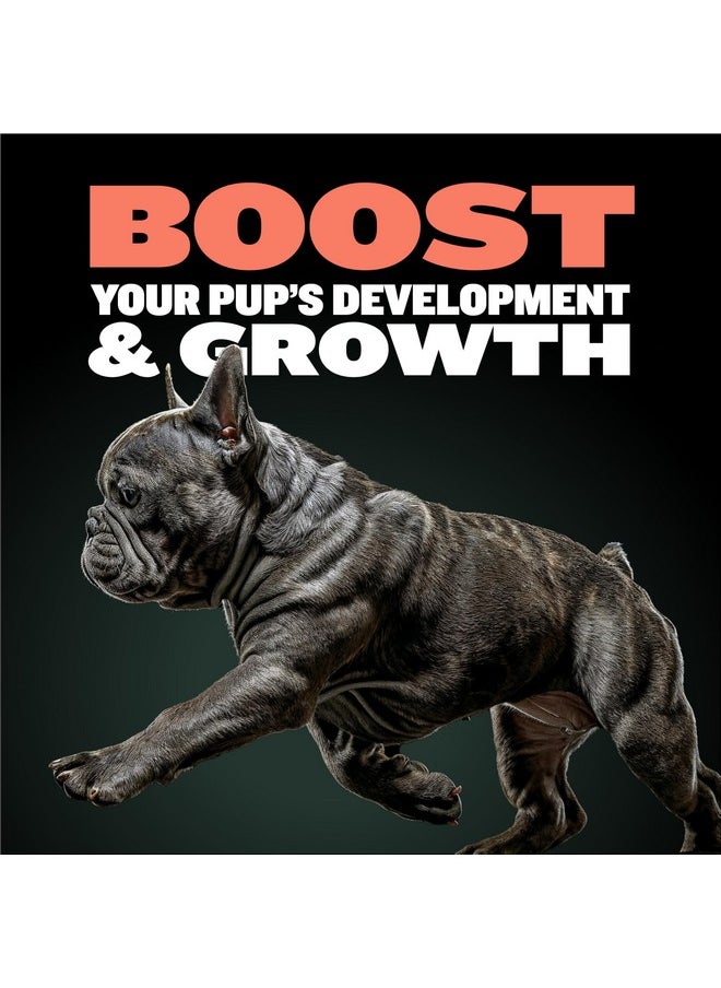 2In1 Puppy Vitamins  30 Chewable Tablets For Development And Growth Of Puppies  Dog Vitamin Tablet Supplements For Small Dogs, Large Breed Pups And Growing Dogs (Feed 12 Tabs Per Day)