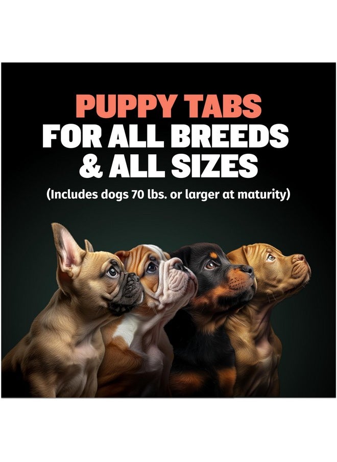 2In1 Puppy Vitamins  30 Chewable Tablets For Development And Growth Of Puppies  Dog Vitamin Tablet Supplements For Small Dogs, Large Breed Pups And Growing Dogs (Feed 12 Tabs Per Day)