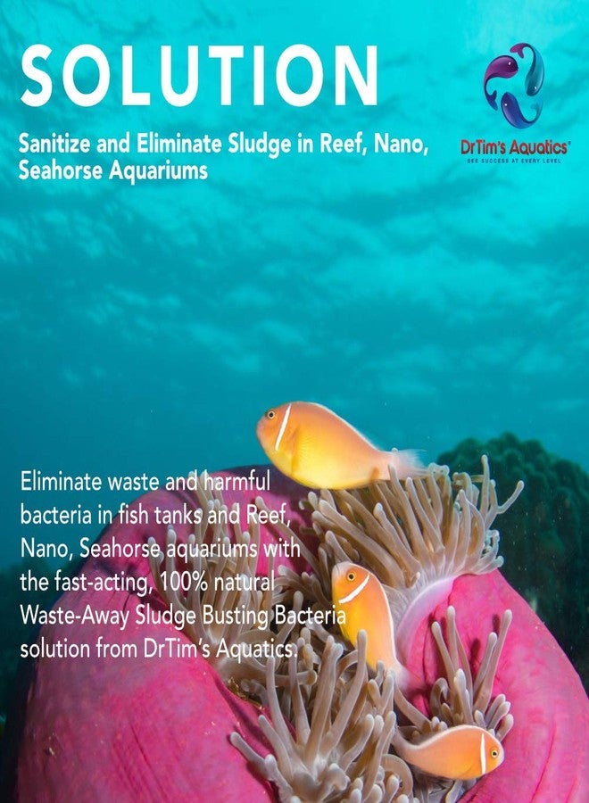 DrTim's Aquatics Reef Waste-Away Sludge Busting Bacteria - For Reef, Nano, Seahorse Aquaria, Fish Tanks, Aquariums - Unclogs, Cleans Gravel Beds, Removes Hidden Wastes - 100% Natural - 64 Oz. - Image 2