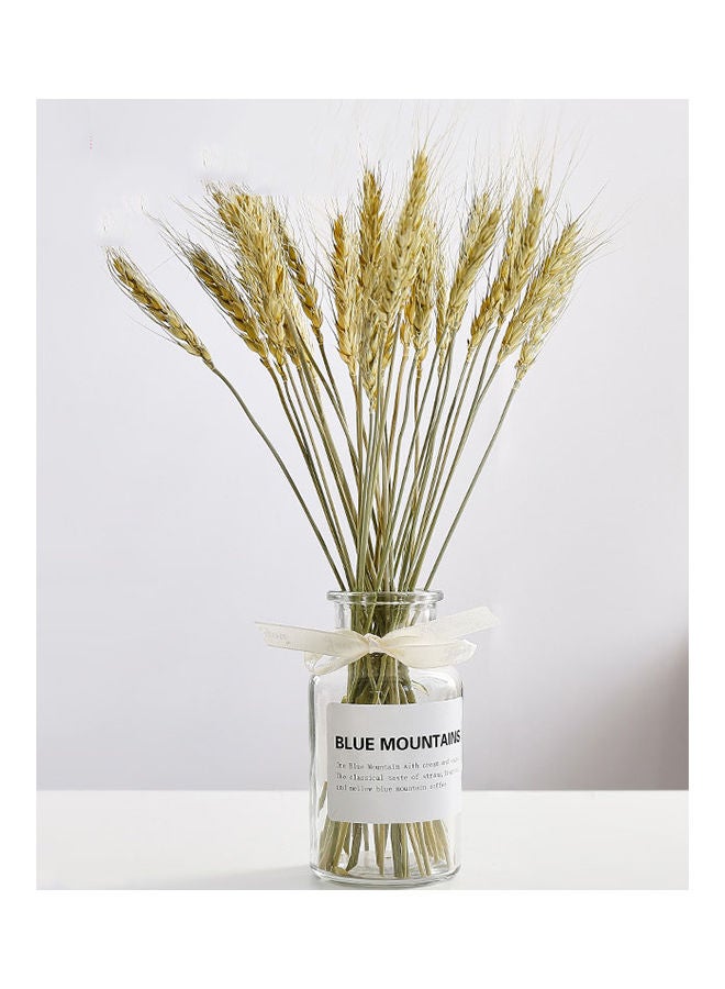 NIBEMINENT Nordic Style Artificial Flower Glass Vase Transparent 6.5 × 12.5centimeter