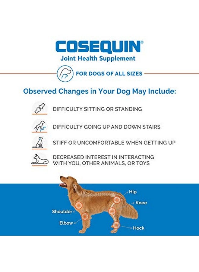 COSEQUIN Nutramax Laboratories Cosequin Ds Plus Msm Professional Line For Dogs, 60 Soft Chews - Image 3