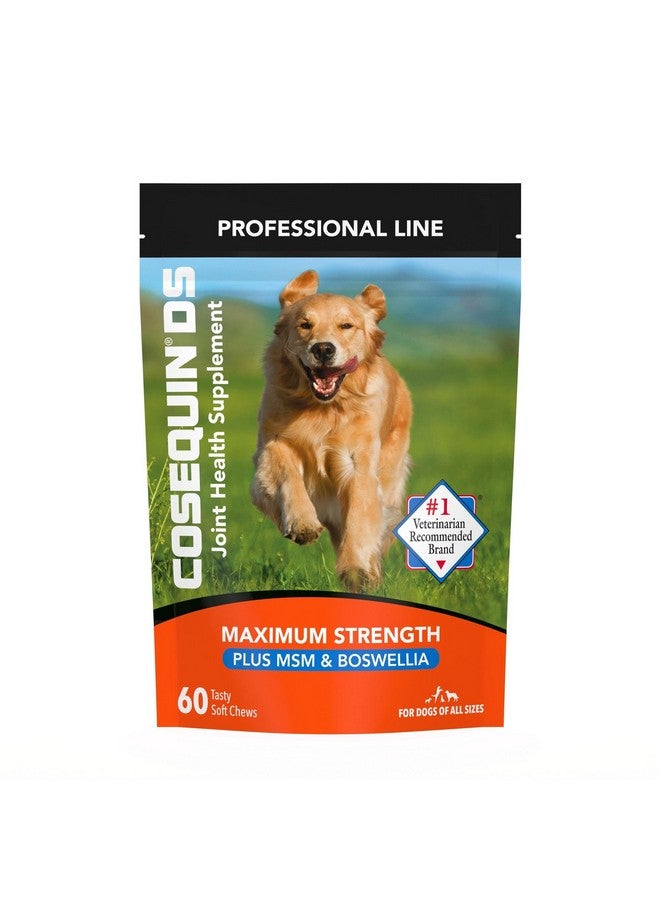 COSEQUIN Nutramax Laboratories Cosequin Ds Plus Msm Professional Line For Dogs, 60 Soft Chews - Image 1