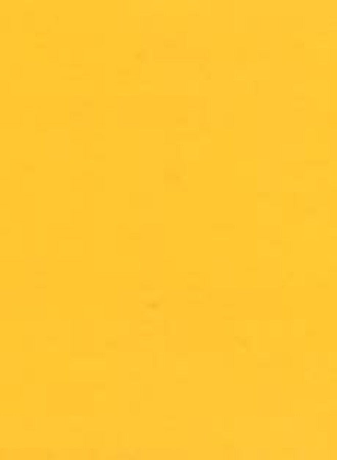 Holbein Acrylic Colors Mat Deep Yellow (B) - Image 2