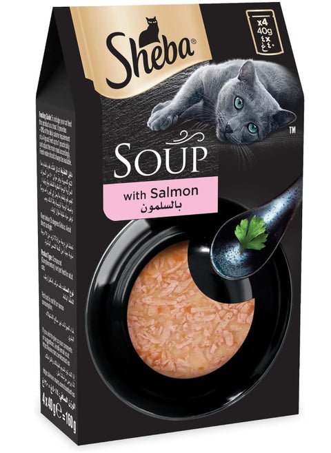 Cat Soup With Salmon Pack Of 4X40G