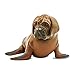 Randimals Sea Lion Figurine Toy Mastiff Dog Face 5 Premium Hard Rubber Animal Action Figure Toy Hybrid Friend Encourages Adventure Imagination - Image 2