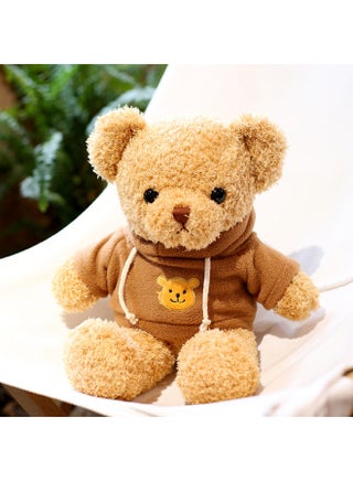 Cute Teddy Bear Plush Toy Bear Doll Hug Bear Doll Children Bear Birthday Gift-Color:Brown Seaweed Velvet Sweatshirt Bear-Height:38cm +window Bag + Ambient Light - pzsku/Z3AEACC524887F9B60041Z/45/1743170523/a9d2f51a-24dd-40ba-8da4-27f42389ad3d