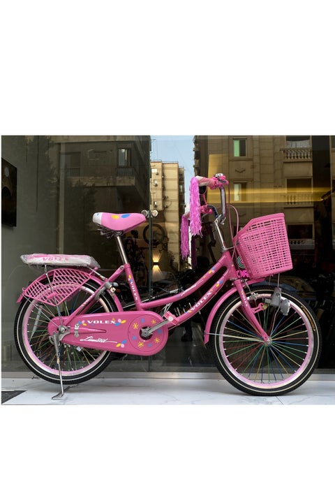 Volex 20-Inch Kids Bicycle – 1 Speed with Basket (Multicolor)