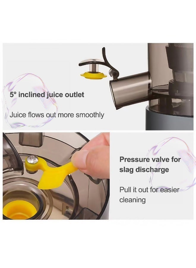 ET-LIFE Slow Masticating Juicer, Slow juicer, Fruit/Vegetable Juicer, Cold Press Juicer with High Output Silver - Image 4