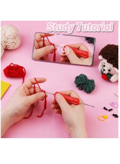 Excefore Crochet Kit for Beginners, Crochet Animal Kit, Crochet Starter Kit Knitting Kit with Crochet Hooks, Yarn, Step-by-Step Instructions Video, Crochet Set for Beginners, Hedgehog  - Image 4