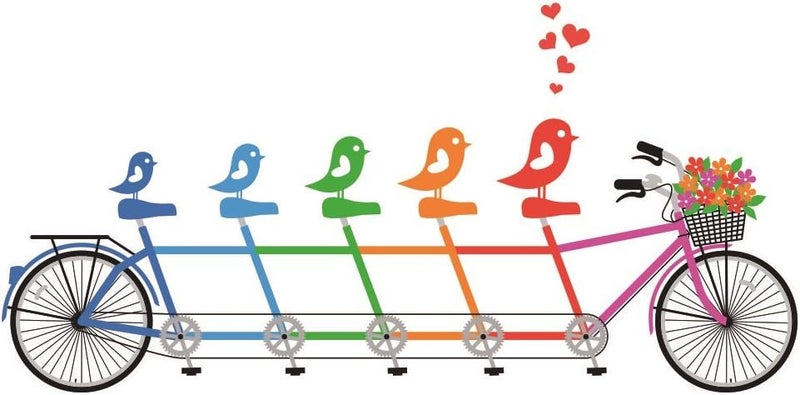 Asmi Collections PVC Wall Stickers - Cute Love Birds on Cycle - Image 1