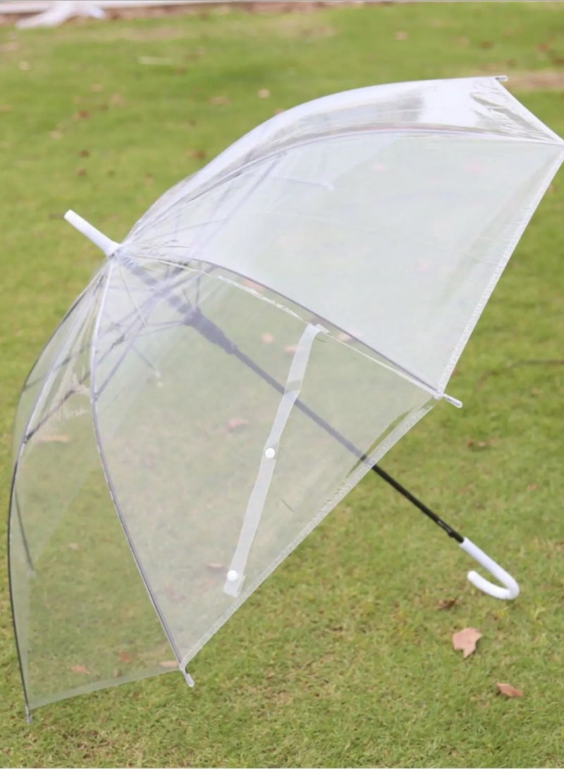 Transparent umbrella