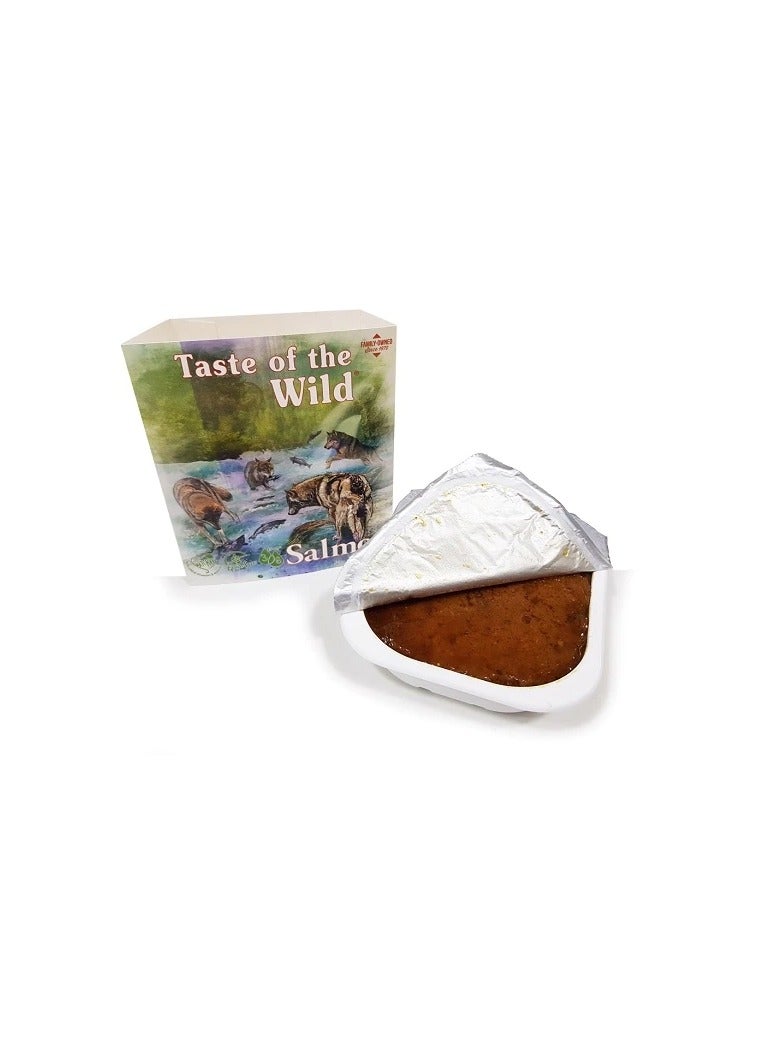 تيست أوف ذا وايلد طعم السلمون البري مع الفاكهة والخضروات طعام الكلاب الرطب - Image 1