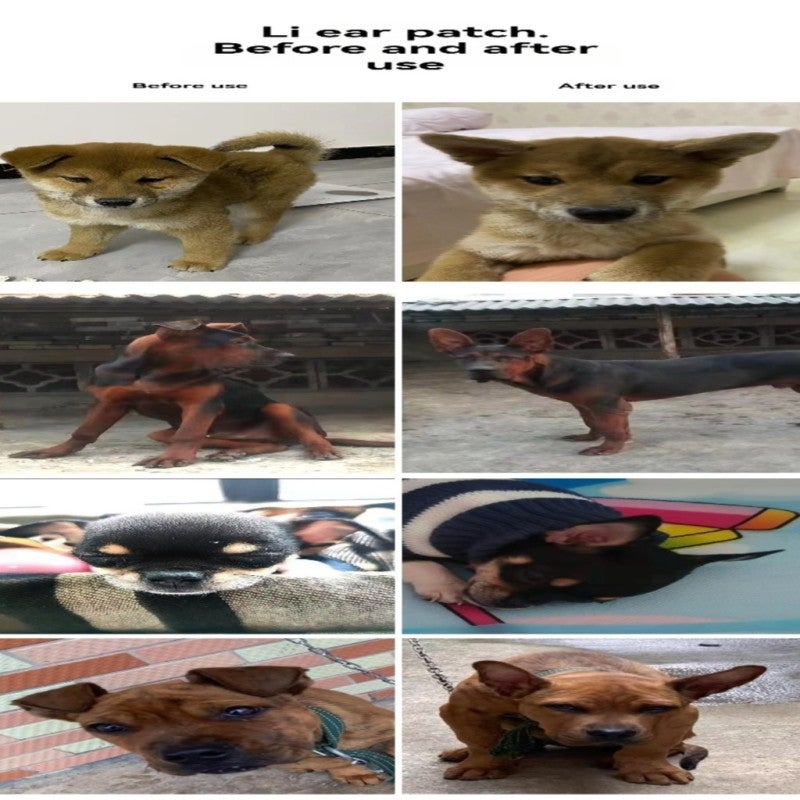 Pet dog upright ear sticker Doberman ear aid Shiba Inu upright ear correction glue-free does not hurt the ear upright ear sticker - Image 5