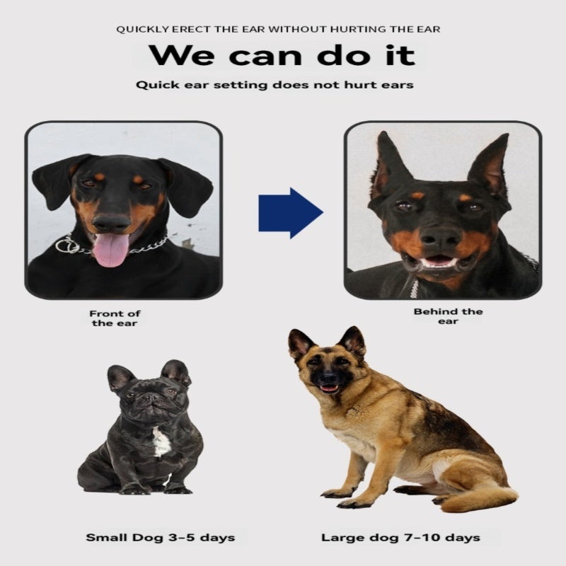 Pet dog upright ear sticker Doberman ear aid Shiba Inu upright ear correction glue-free does not hurt the ear upright ear sticker - Image 3