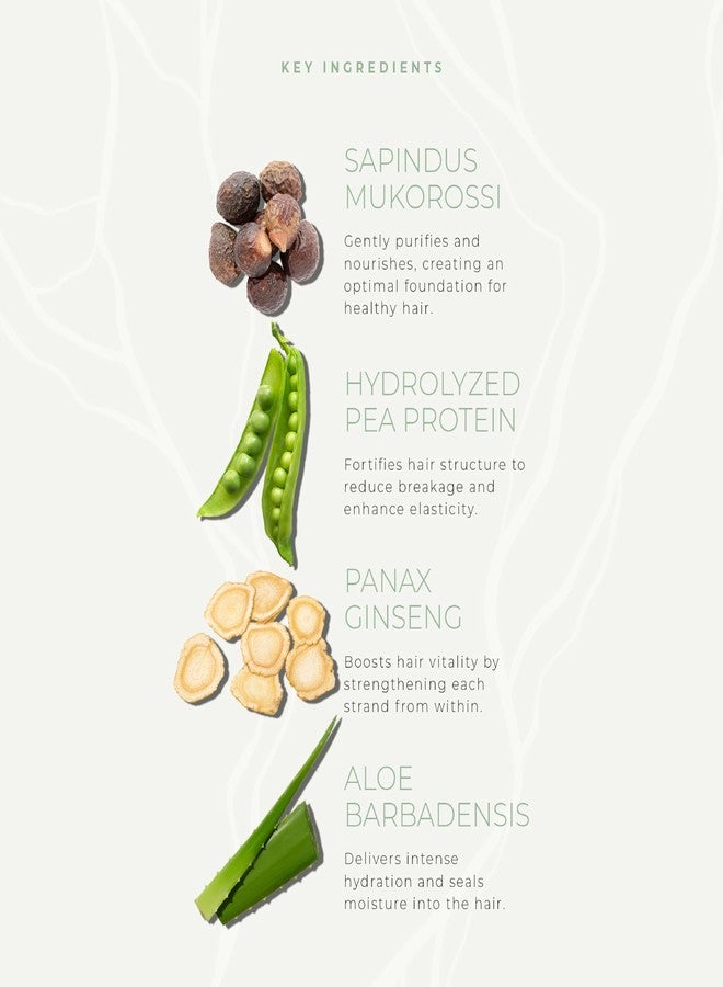 Kanpeki Kintsugi Bondcare Conditioner for Weak & Damaged Hair | Strengthens, Softens, Nourishes | With Ginseng, Pea Protein, Aloe & Silk Protein | Bond Perfect Formula - 120g - Image 5