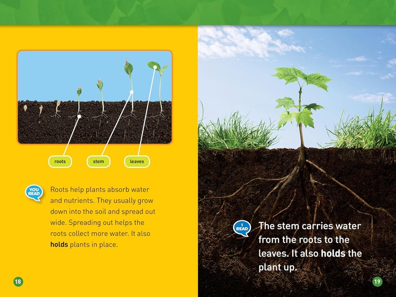 National Geographic Kids Readers: Plants - Image 2