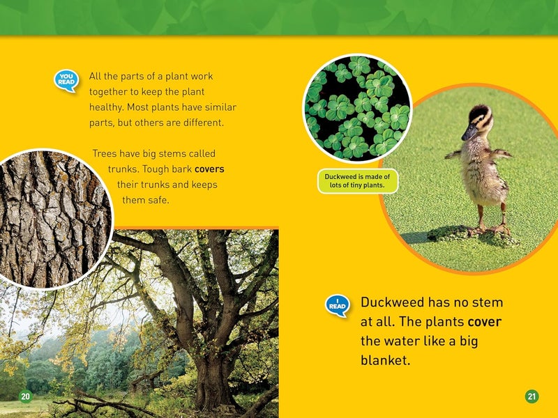 National Geographic Kids Readers: Plants - Image 3