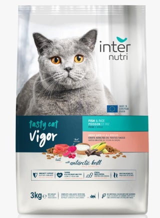 INTERNUTRI TASTY CAT VIGOR 3 KG - pzsku/Z3AF2C9B1605C50E6B38BZ/45/_/1737811991/b211998b-28fc-4da8-9335-a70f2c1dbc53