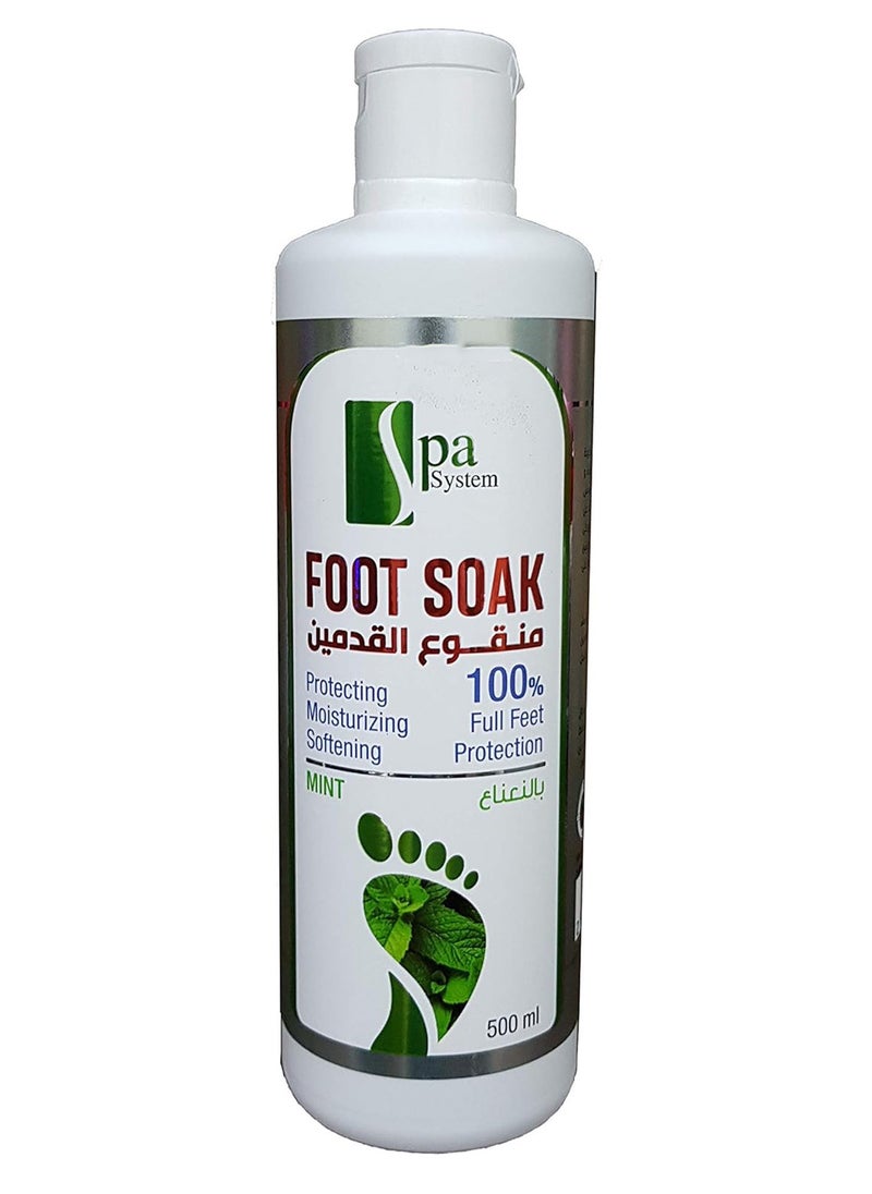 Spa System Foot Soak - pzsku/Z3AF31BB6F05CA0C5F53AZ/45/_/1736230184/ecb13be3-54b8-43b0-82e8-399e07e12393